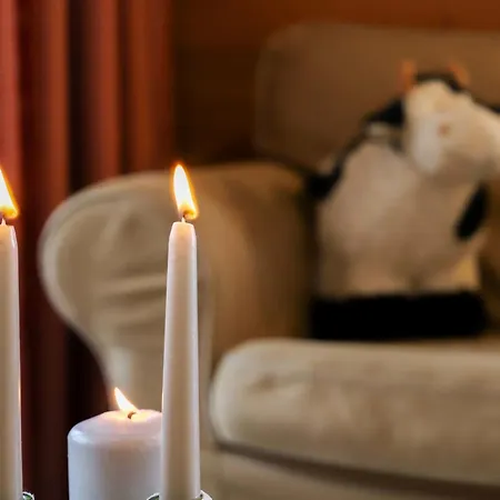 Terrasses Du Paradis 5b By Interhome